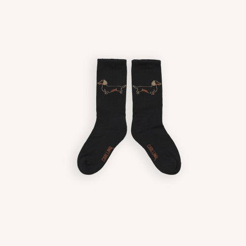 Calcetines estampado perros- CARLIJNG
