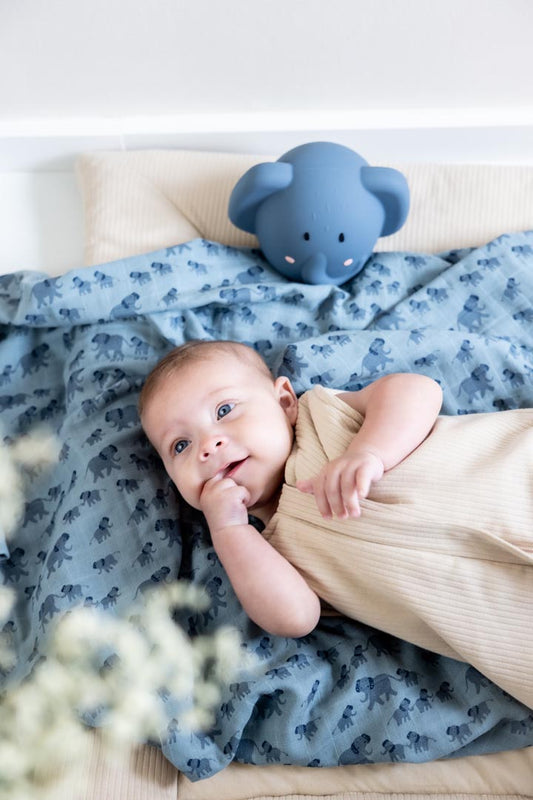 Lámparas de noche Elefante- TRIXIE