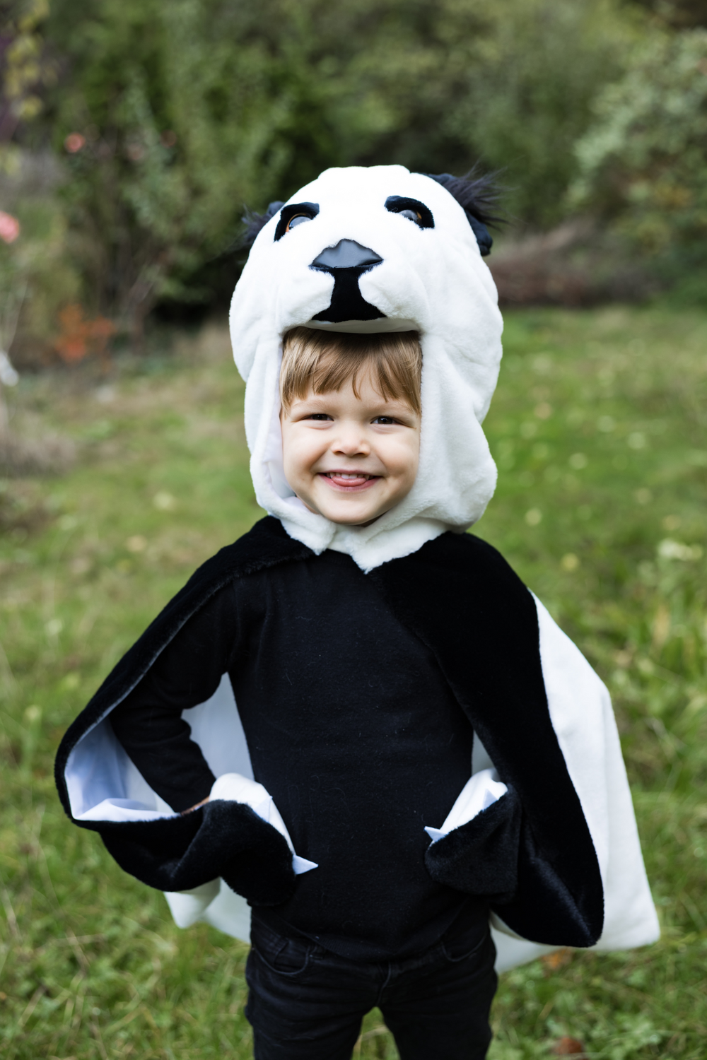 Capa Panda- GREAT PRETENDERS