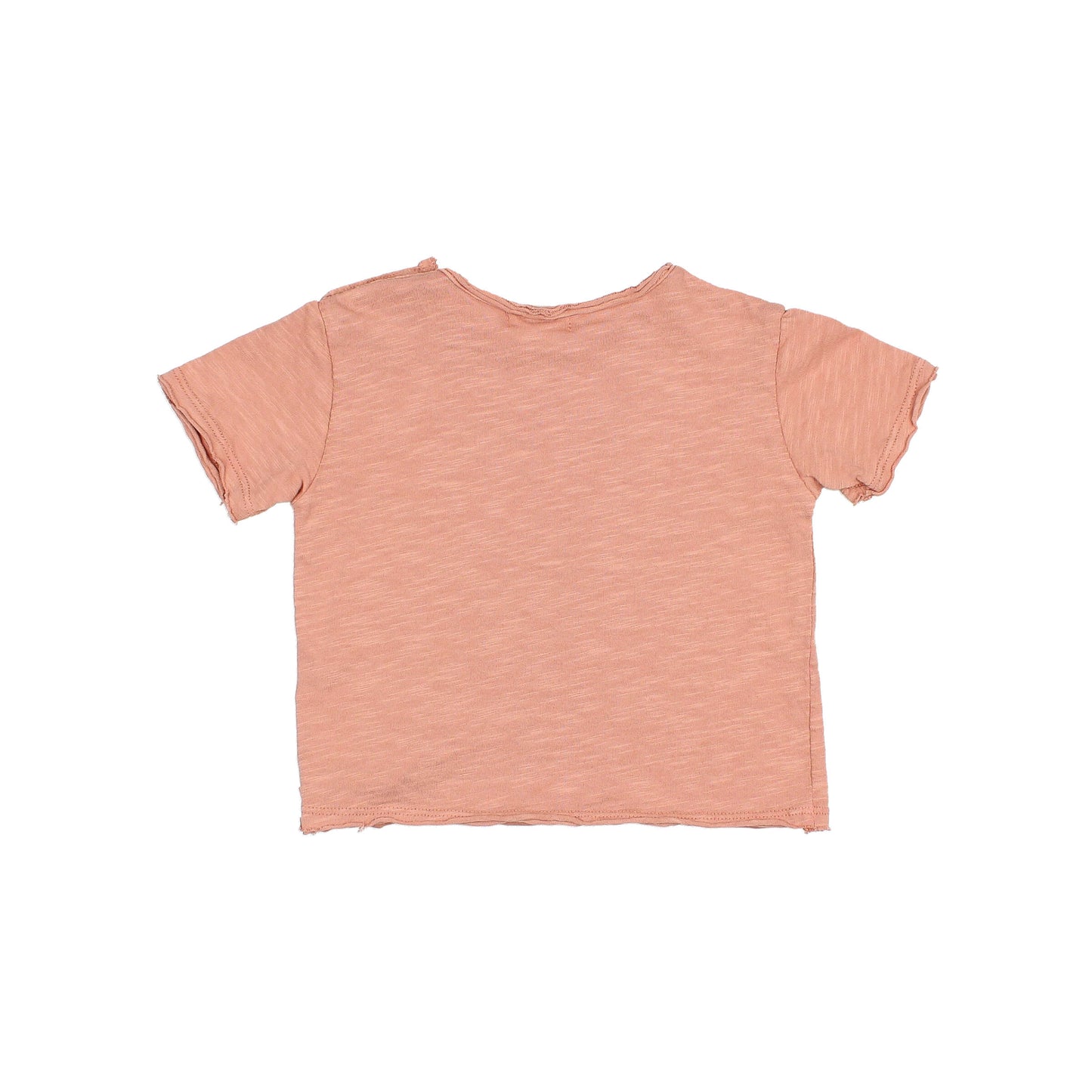 Camiseta zebra BB- BÚHO