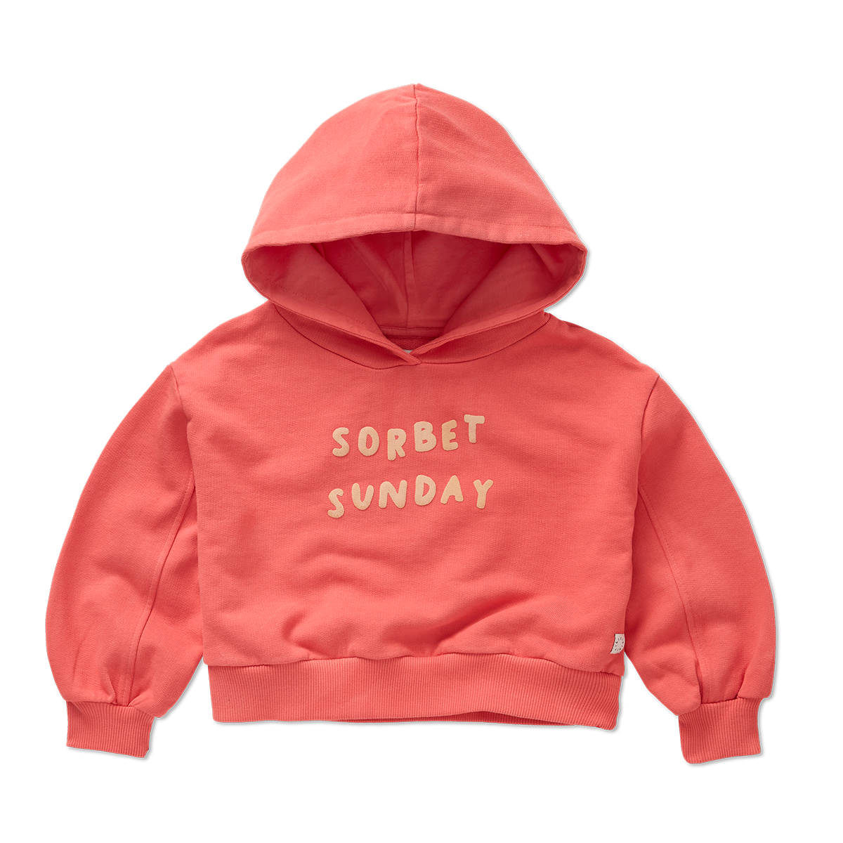 Sudadera crop con logo- SPROET & SPROUT