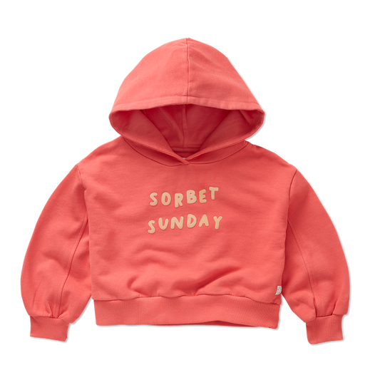 Sudadera crop con logo- SPROET & SPROUT
