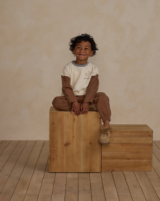 Camiseta manga larga Color Block Cactus - RYLEE + CRU