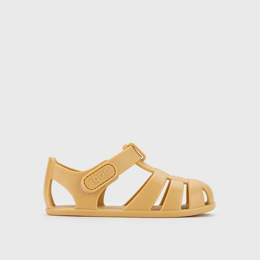 Cangrejera nemo dijon- IGOR