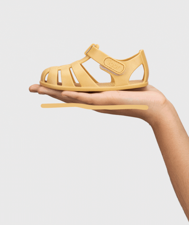 Cangrejera nemo dijon- IGOR