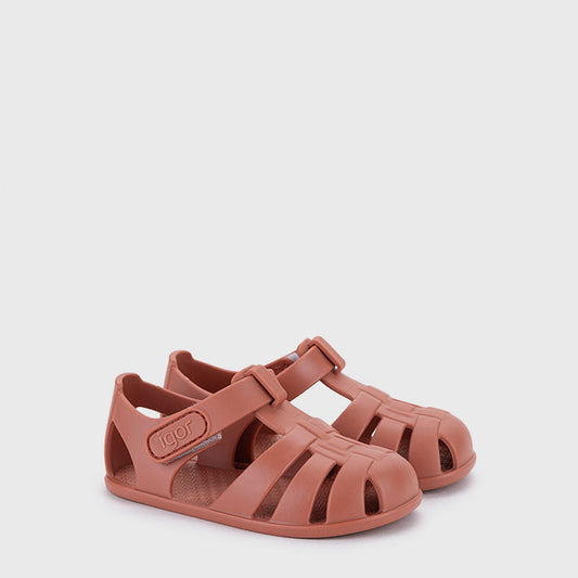 Cangrejera nemo Terracota- IGOR