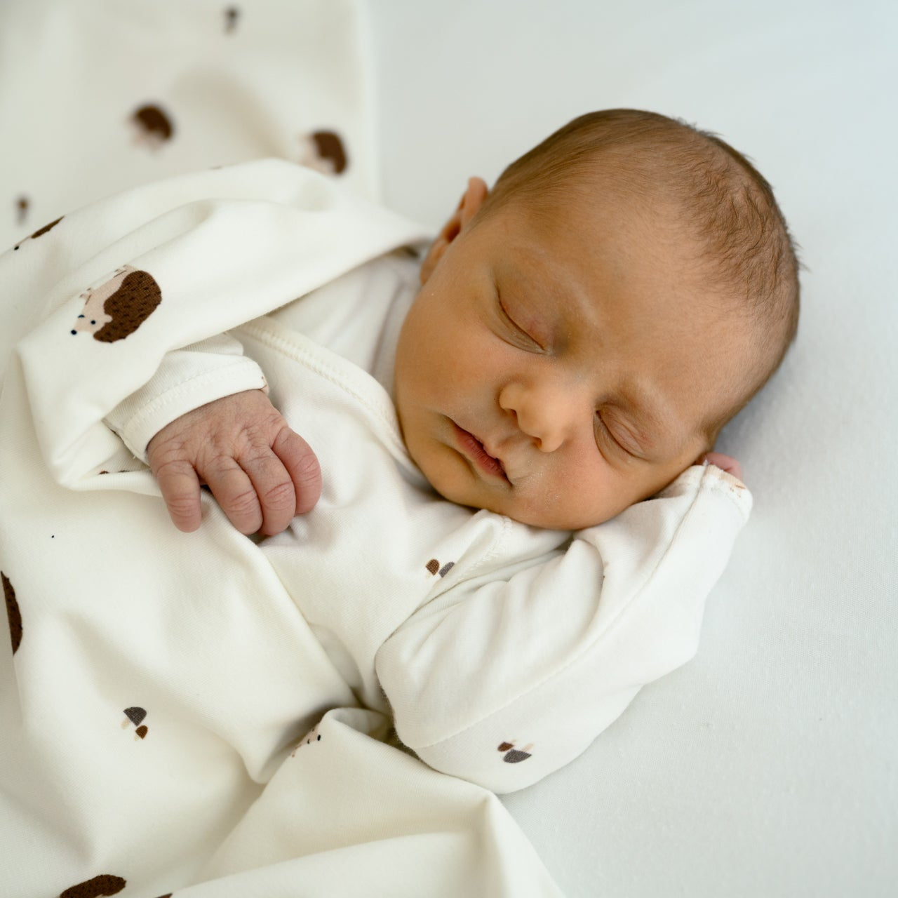 Conjunto primera puesta Erizo- MORE THAN BABIES