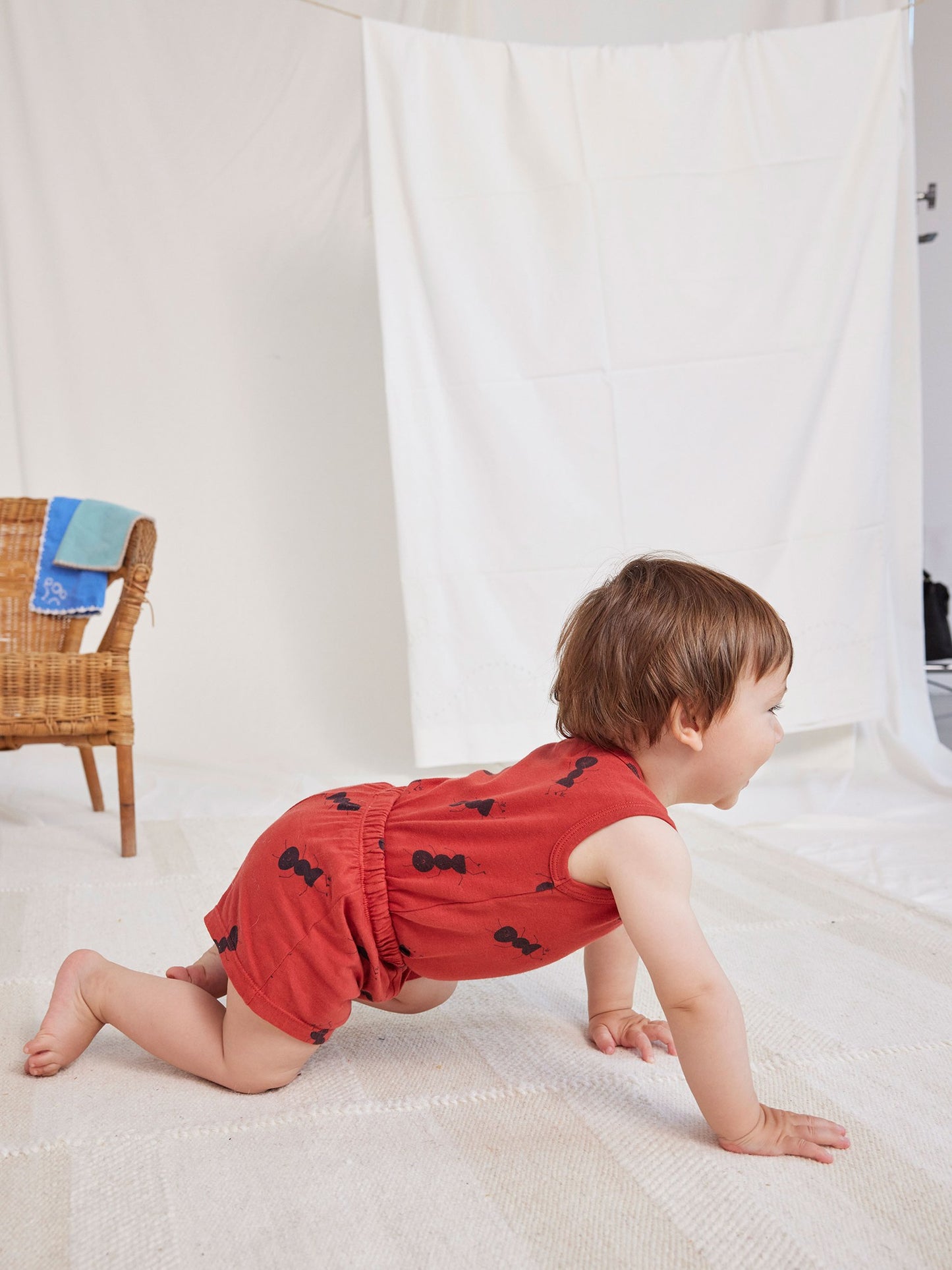 Pantalón corto ANT BB- BOBO CHOSES