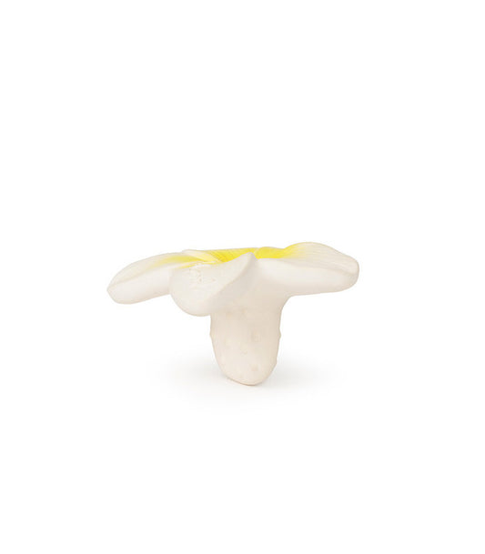 HAWAII THE FLOWER- Chewy-to-Go