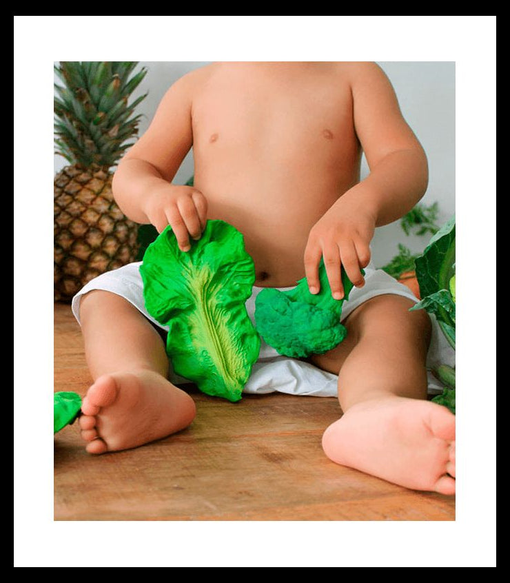 KENDALL THE KALE- Frutas & Verduras