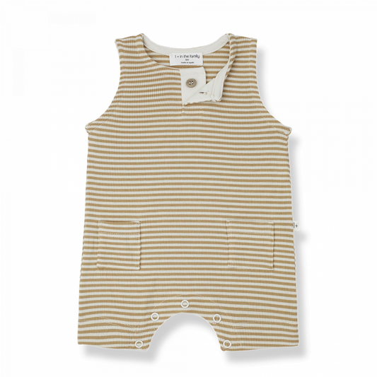 Mono MAURO- 1 + IN THE FAMILY