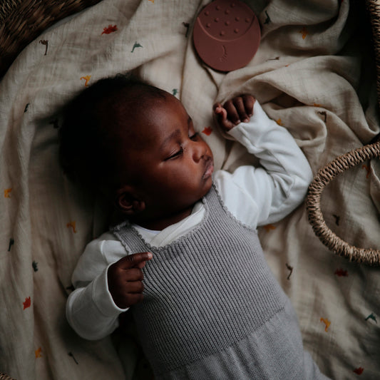 Muselina estampada Dinosaurios- MUSHIE