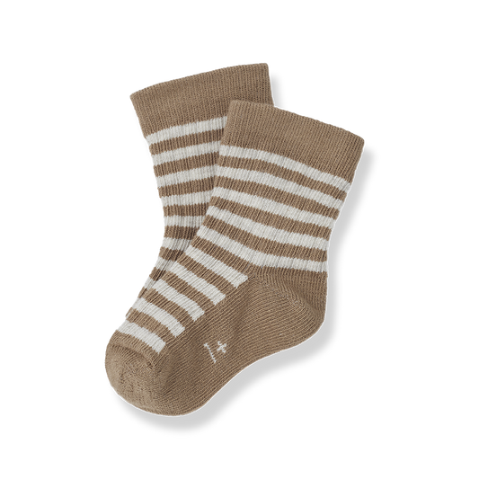 Calcetines CAL- 1 + IN THE FAMILY