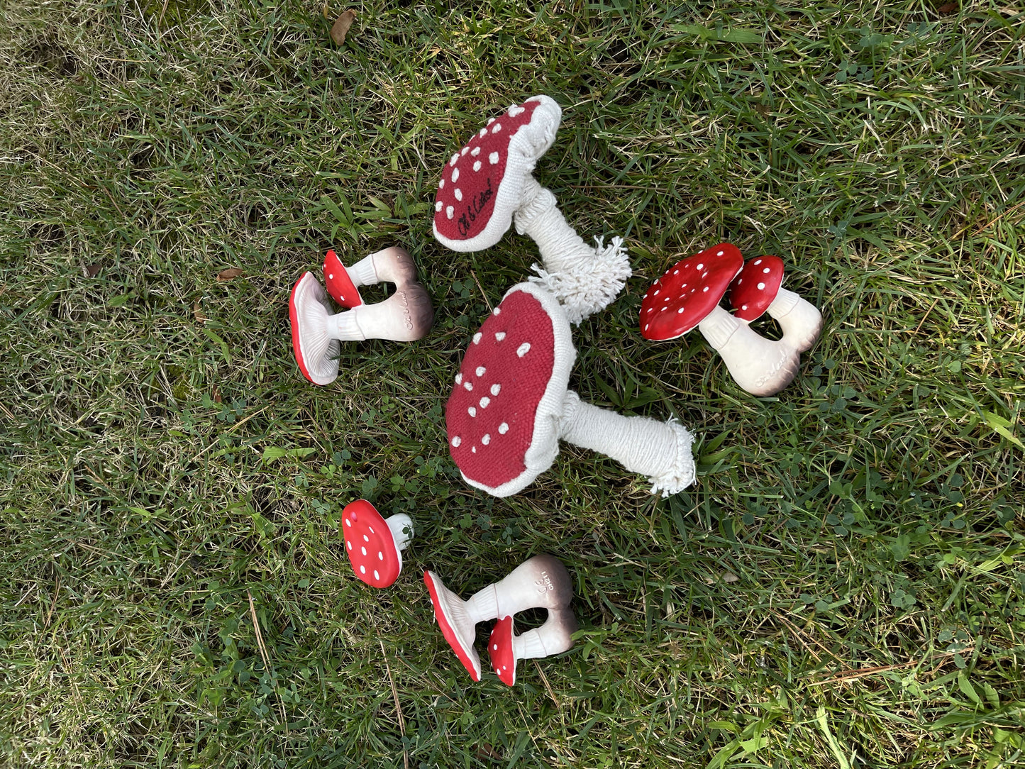 Spotty the Mushroom - Mushrooms