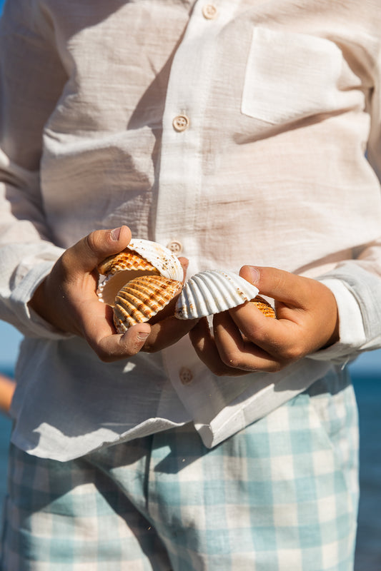 Bermuda de cuadros - Petit Indi