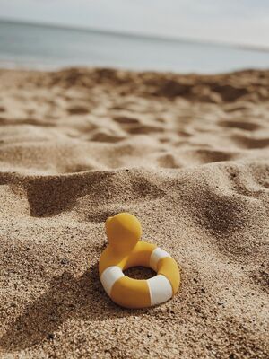Floatie Duck Yellow - Floaties