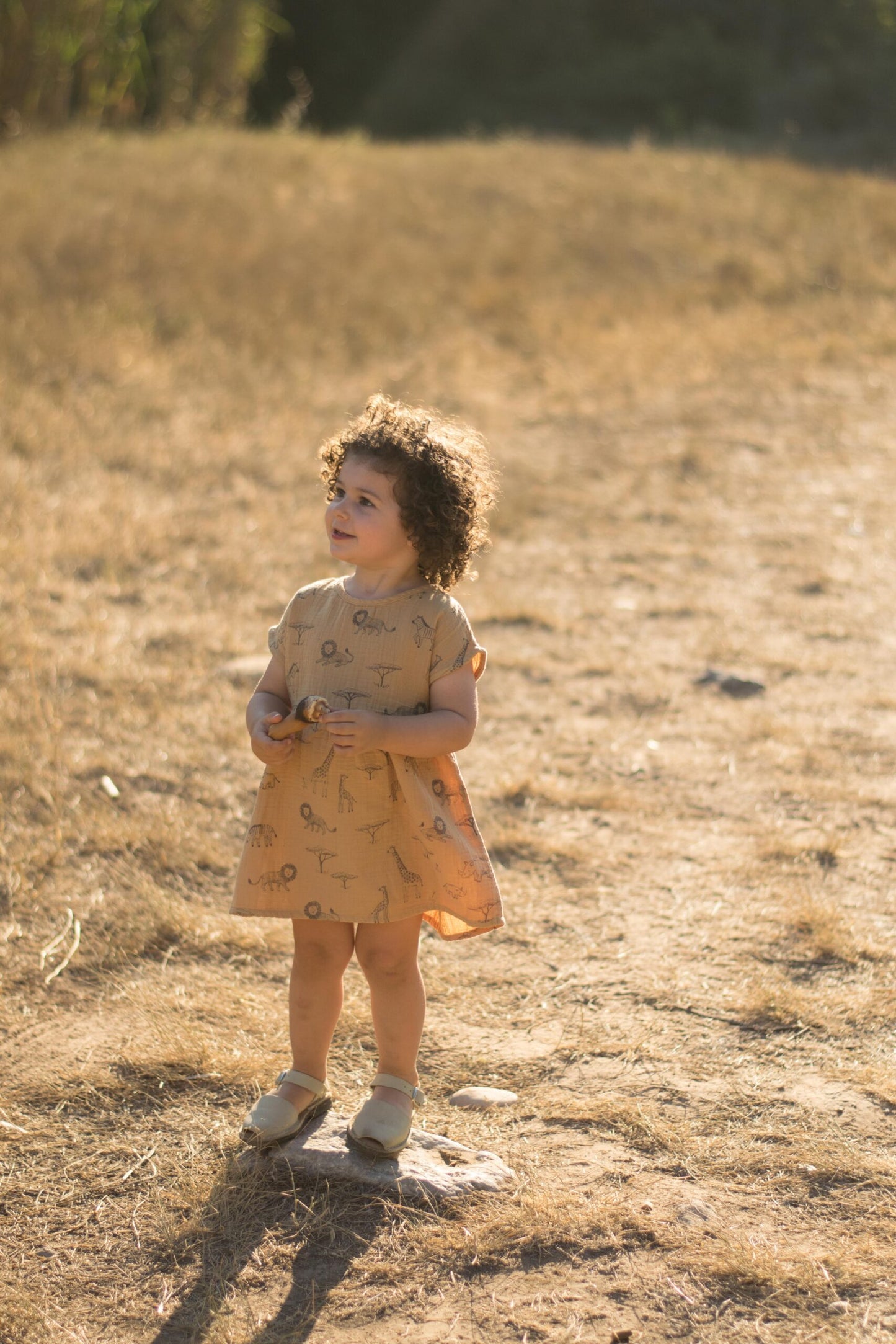 Vestido Savannah - Dear Mini