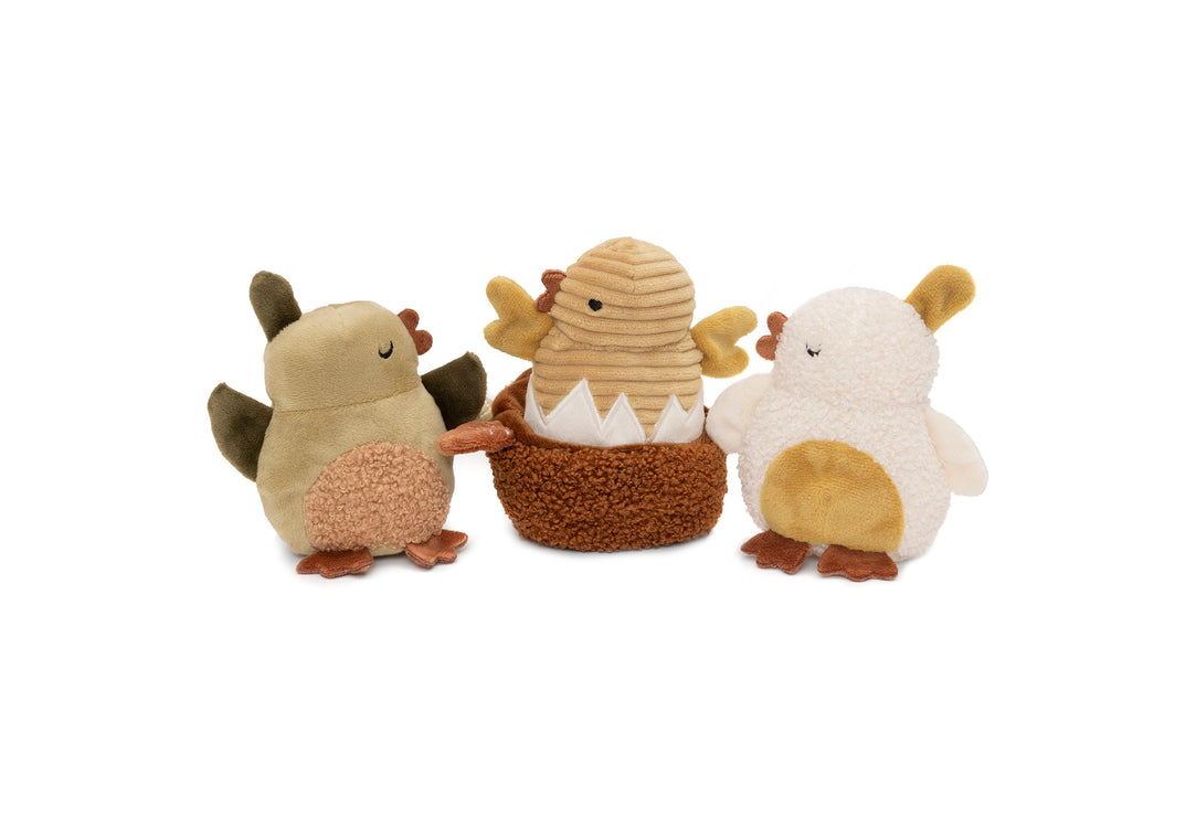 Set de Pollito Hide and Seek - JOLLEIN