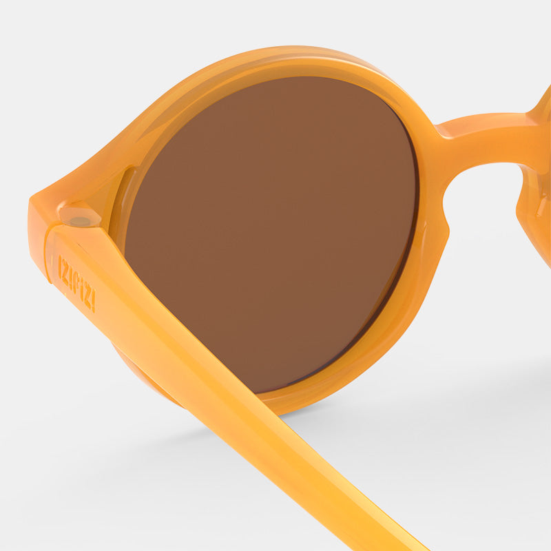 Gafas Golden  Canyon D- IZIPIZI