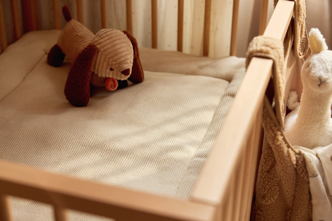 Perrito Diego- JOLLEIN