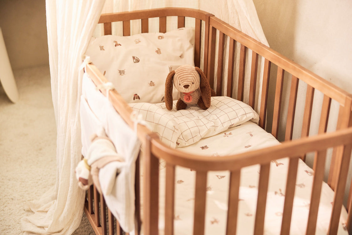 Perrito Diego- JOLLEIN