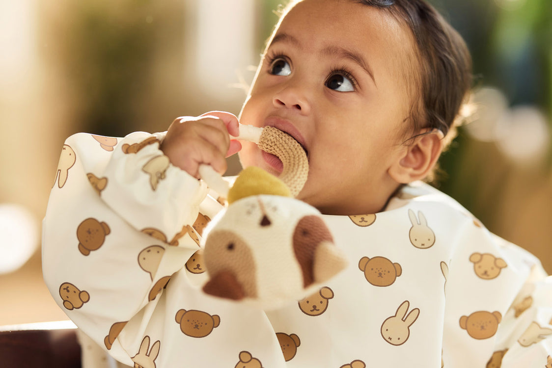 Mordedor  perrito Mick- JOLLEIN